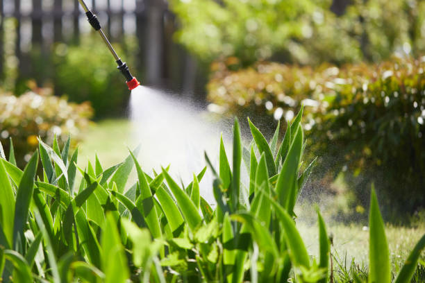 24/7 Emergency Ant Control experts in Smackover, AR