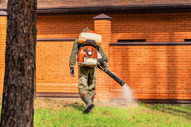 Trusted Termite Control service in Smackover, AR - Nex Pest Control